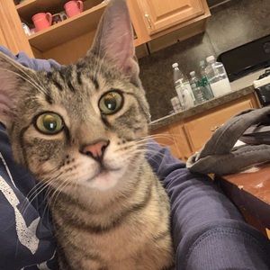 Meet your Posher, Meaghan